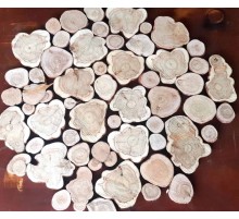 Спилы можжевельника