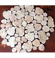 Спилы можжевельника