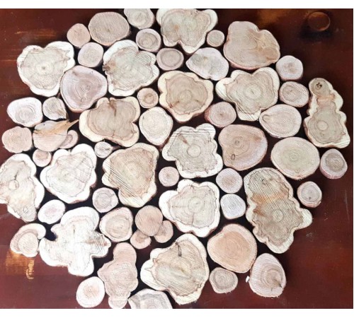 Спилы можжевельника