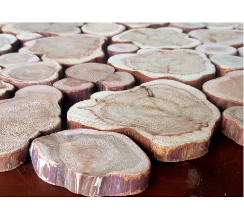 Спилы можжевельника