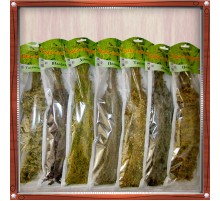 Трава-запарник полынь