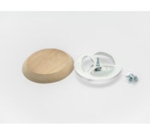 Тарельчатый клапан D - 100